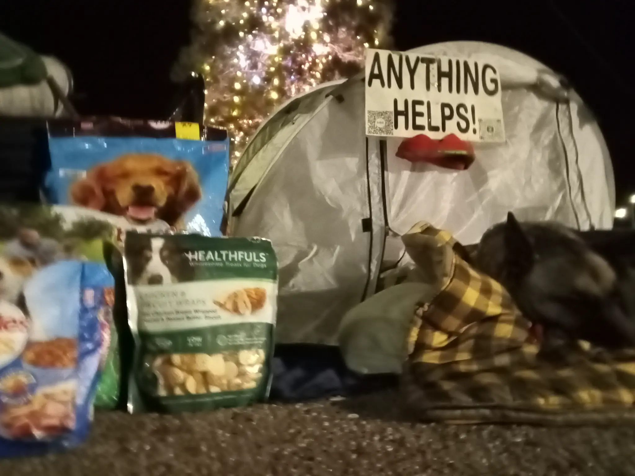 Donations and dog treats by the tent with Cleopatra